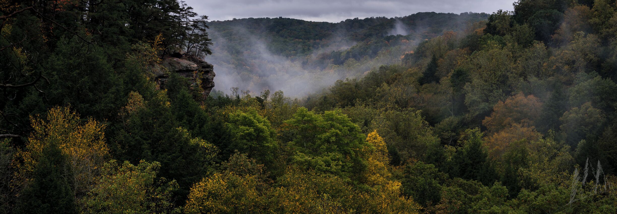 Upper rim trail.....with color!