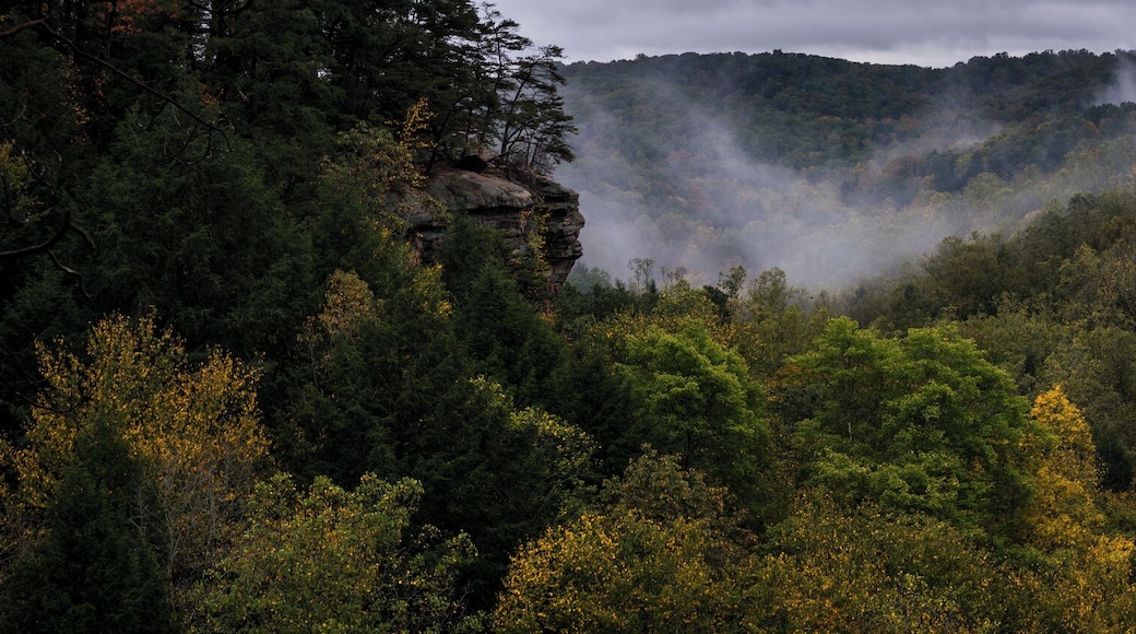 Upper rim trail.....with color!