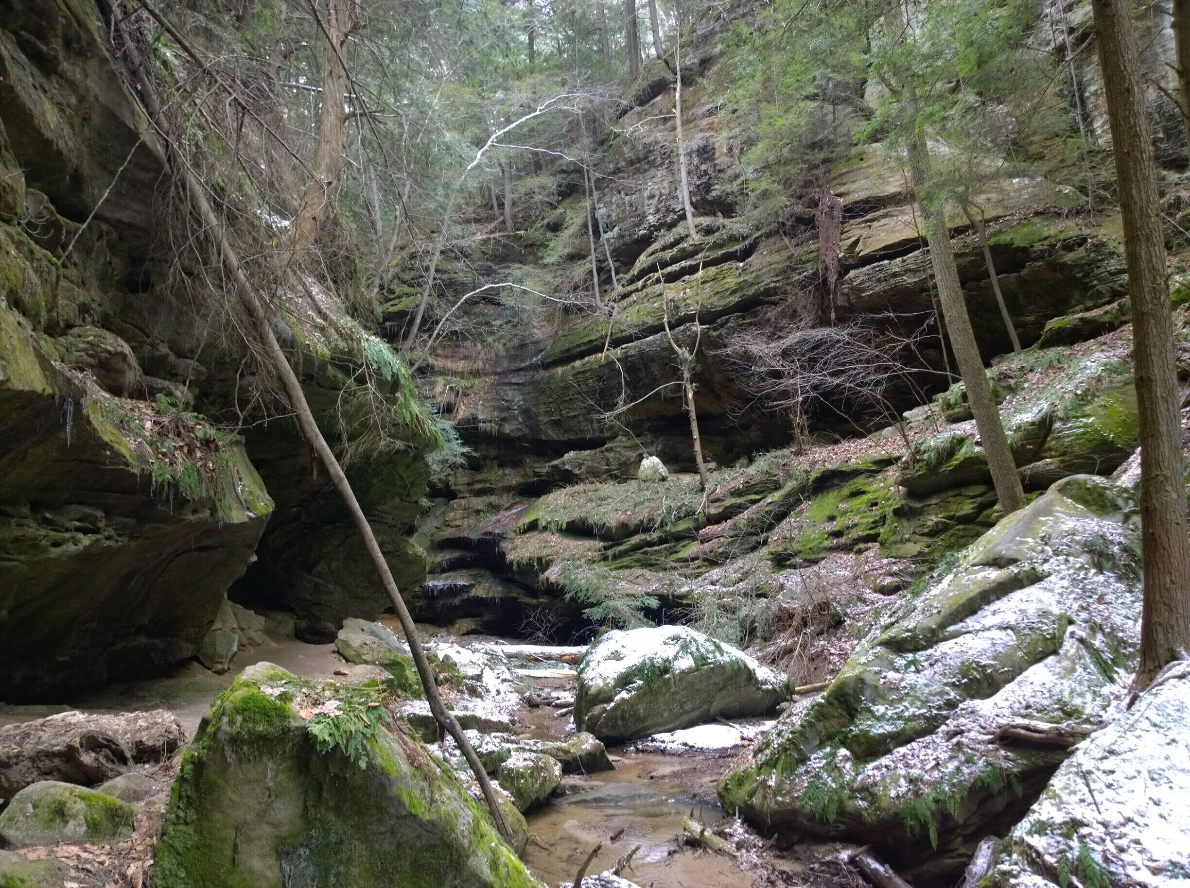 Conkles Hollow is a state nature preserve within the Hocking Hills region. Its sheer cliffs of Black Hand sandstone rise nearly 200 feet above the valley floor.

The deep, cool gorge, which is only 100 feet wide in places and is considered to be the deepest in Ohio, has numerous waterfalls cascading over its sandstone cliffs.

The lower trail through the gorge is about 1 mile and is accessible for the most casual of hikers. The rim trail is a couple miles long and is a bit more strenuous.