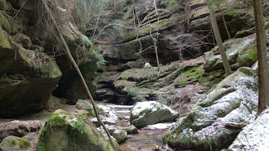 Conkles Hollow is a state nature preserve within the Hocking Hills region. Its sheer cliffs of Black Hand sandstone rise nearly 200 feet above the valley floor.
The deep, cool gorge, which is only 100 feet wide in places and is considered to be the deepest in Ohio, has numerous waterfalls cascading over its sandstone cliffs.
The lower trail through the gorge is about 1 mile and is accessible for the most casual of hikers. The rim trail is a couple miles long and is a bit more strenuous.