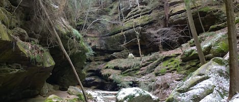 Conkles Hollow is a state nature preserve within the Hocking Hills region. Its sheer cliffs of Black Hand sandstone rise nearly 200 feet above the valley floor.
The deep, cool gorge, which is only 100 feet wide in places and is considered to be the deepest in Ohio, has numerous waterfalls cascading over its sandstone cliffs.
The lower trail through the gorge is about 1 mile and is accessible for the most casual of hikers. The rim trail is a couple miles long and is a bit more strenuous.