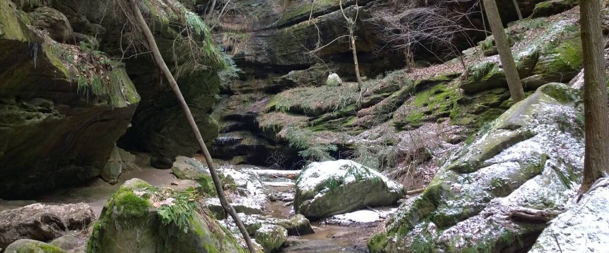 A forested area with a stream flowing through a rocky terrain.