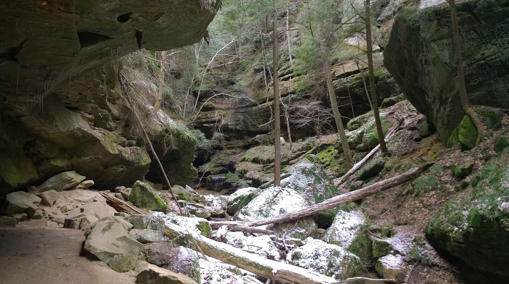 Conkles Hollow is a state nature preserve within the Hocking Hills region. Its sheer cliffs of Black Hand sandstone rise nearly 200 feet above the valley floor.
The deep, cool gorge, which is only 100 feet wide in places and is considered to be the deepest in Ohio, has numerous waterfalls cascading over its sandstone cliffs.
The lower trail through the gorge is about 1 mile and is accessible for the most casual of hikers. The rim trail is a couple miles long and is a bit more strenuous.