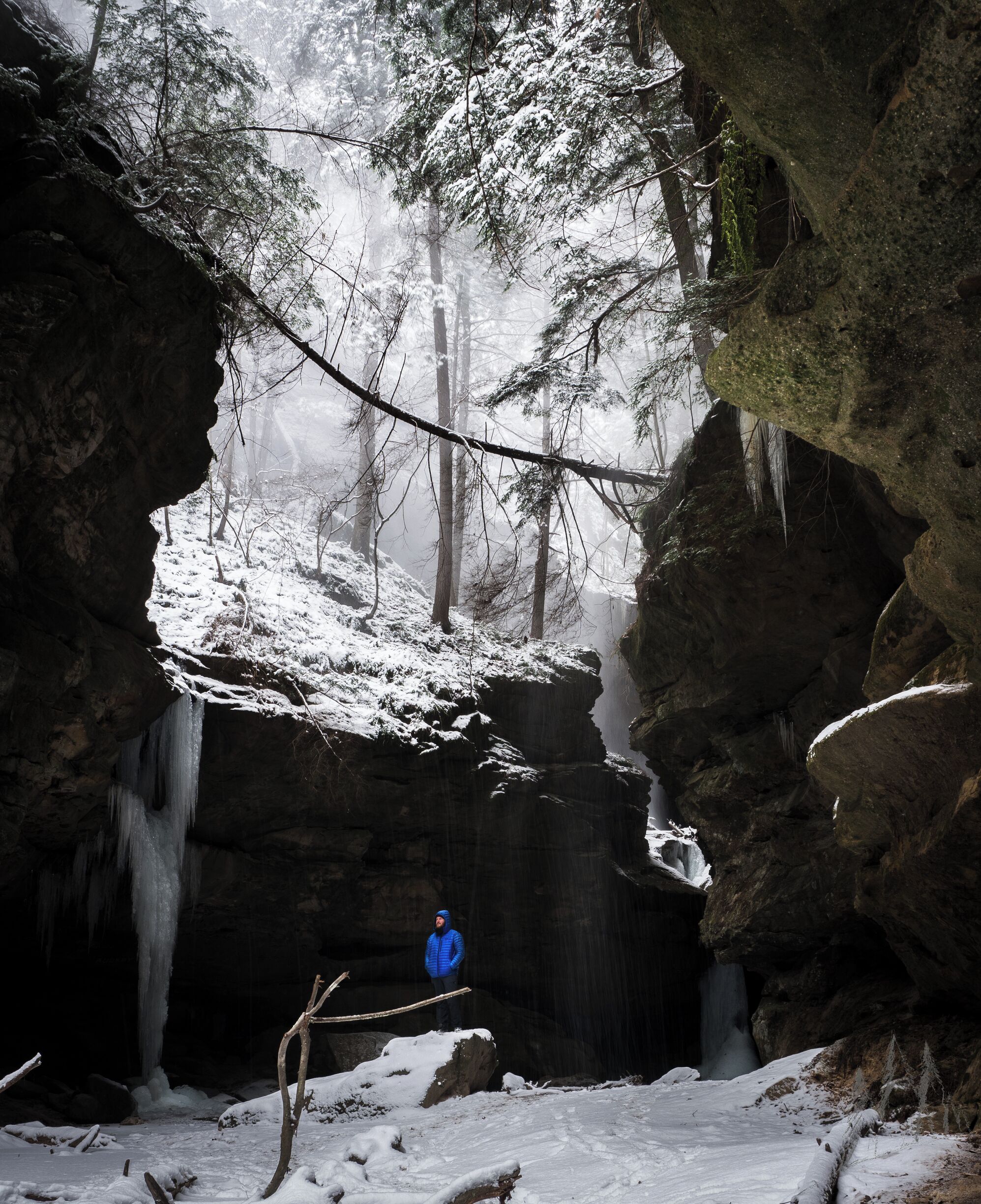 Un bosque nevado con una persona de pie sobre un puente colgante.