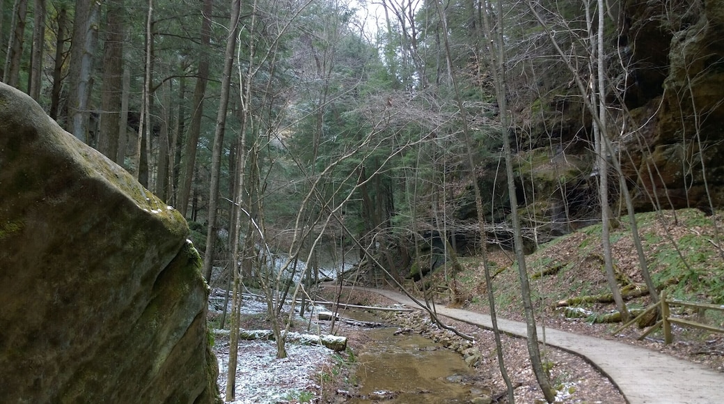 Conkles Hollow is a state nature preserve within the Hocking Hills region. Its sheer cliffs of Black Hand sandstone rise nearly 200 feet above the valley floor.
The deep, cool gorge, which is only 100 feet wide in places and is considered to be the deepest in Ohio, has numerous waterfalls cascading over its sandstone cliffs.
The lower trail through the gorge is about 1 mile and is accessible for the most casual of hikers. The rim trail is a couple miles long and is a bit more strenuous.