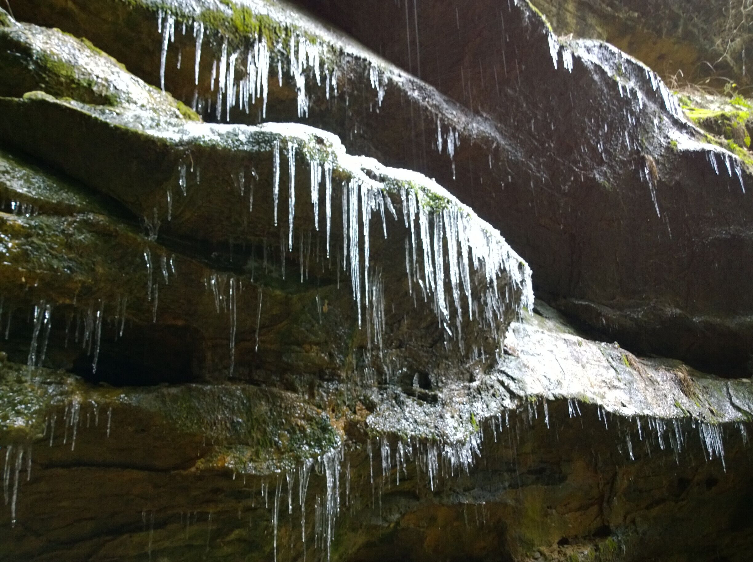 Conkles Hollow is a state nature preserve within the Hocking Hills region. Its sheer cliffs of Black Hand sandstone rise nearly 200 feet above the valley floor.

The deep, cool gorge, which is only 100 feet wide in places and is considered to be the deepest in Ohio, has numerous waterfalls cascading over its sandstone cliffs.

The lower trail through the gorge is about 1 mile and is accessible for the most casual of hikers. The rim trail is a couple miles long and is a bit more strenuous.
