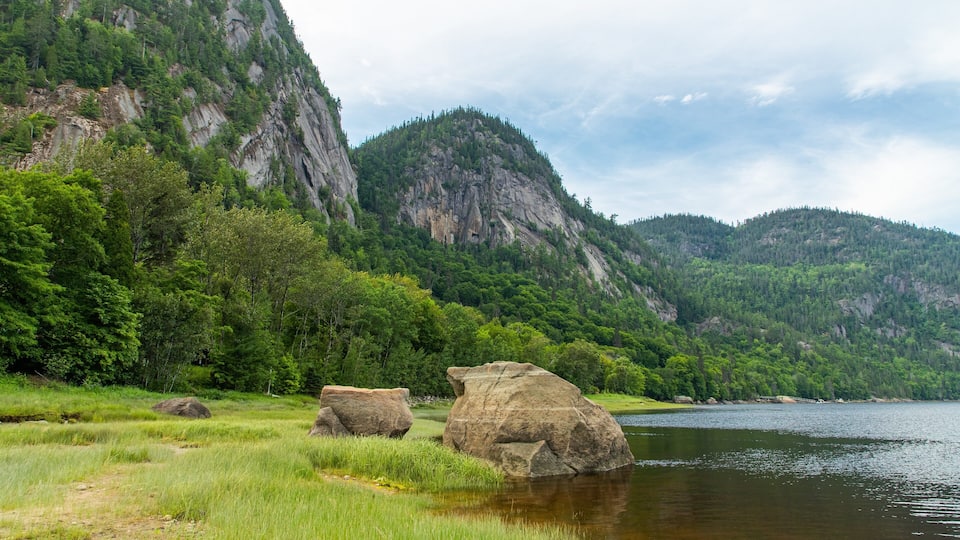 A river with large boulders in a forested valley with mountains in the background.