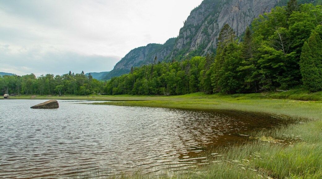 Parc National du Fjord-du-Saguenay showing mountains, tranquil scenes and a lake or waterhole