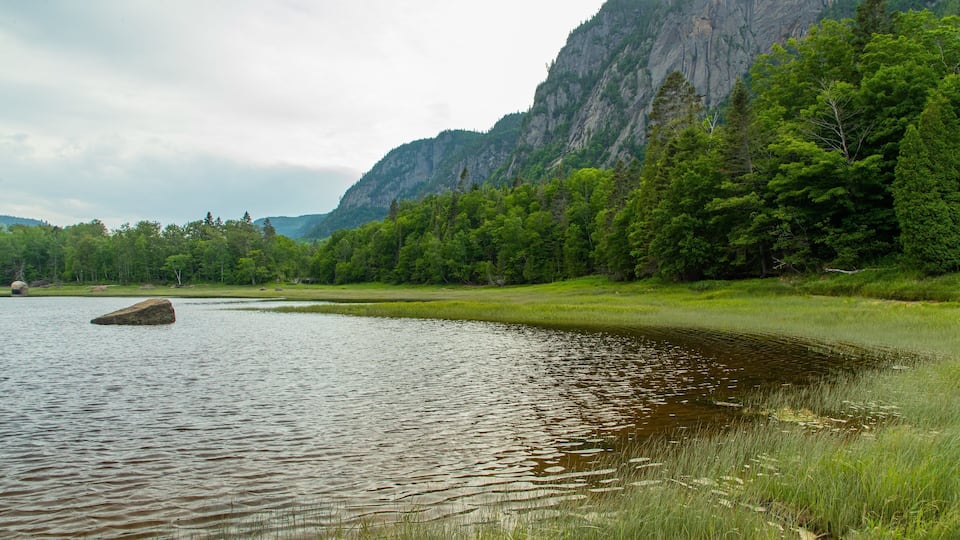 A calm lake with a large rock in the foreground, surrounded by lush green trees and a mountain in the background.