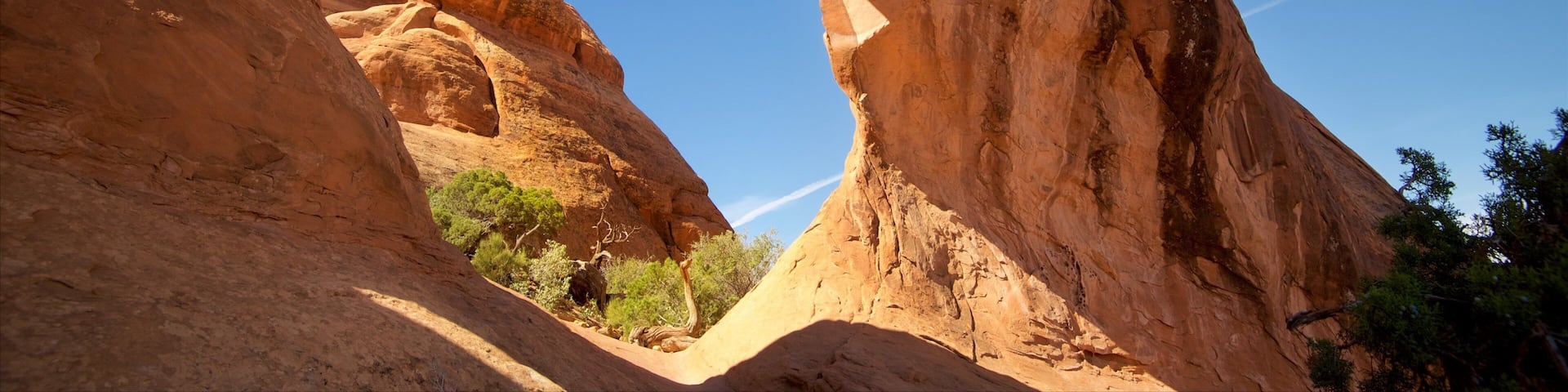 Partition Arch which includes desert views