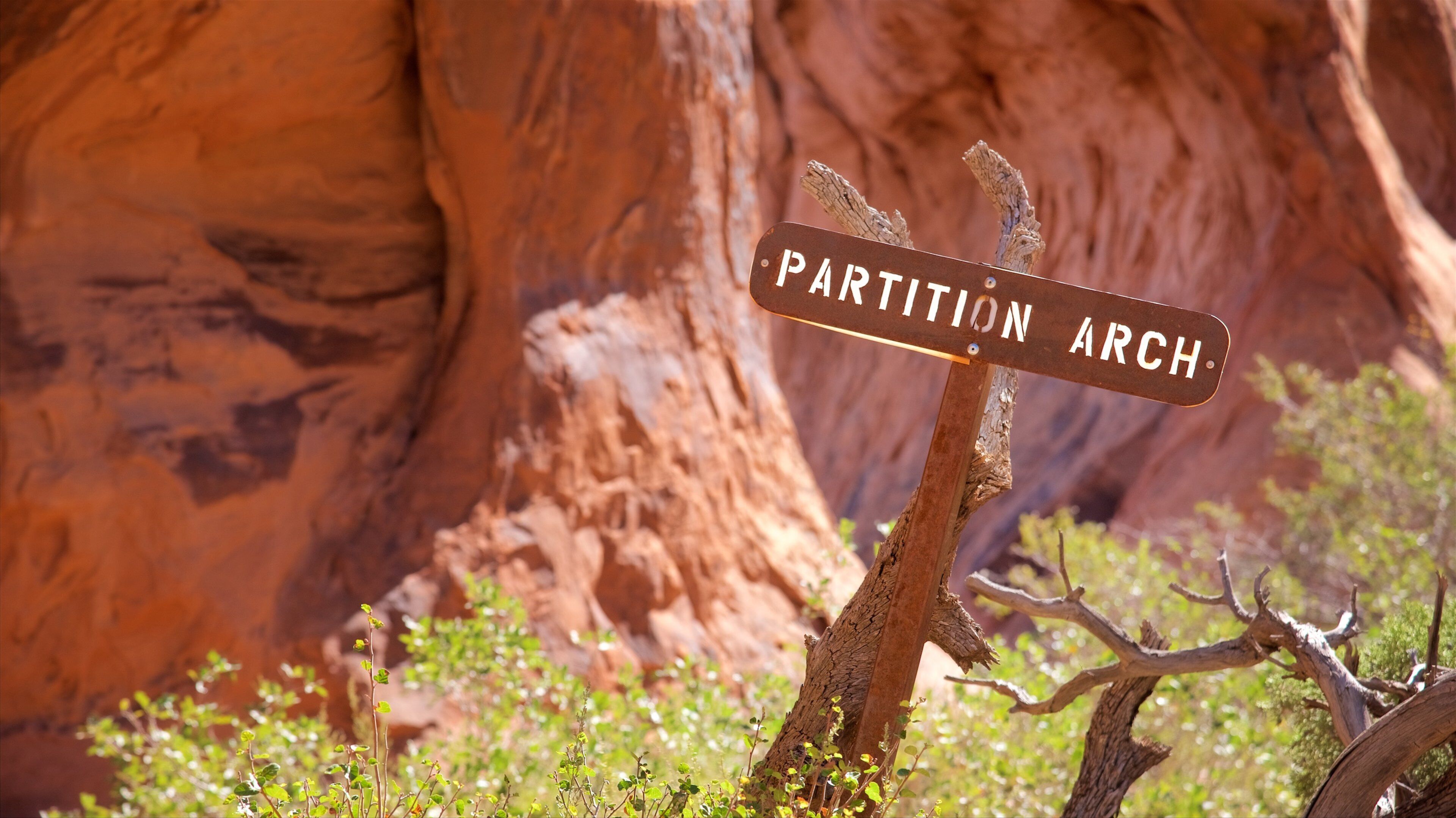 Partition Arch featuring signage and tranquil scenes