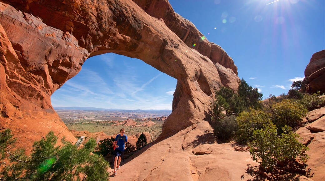 파티션 아치 을 보여주는 사막