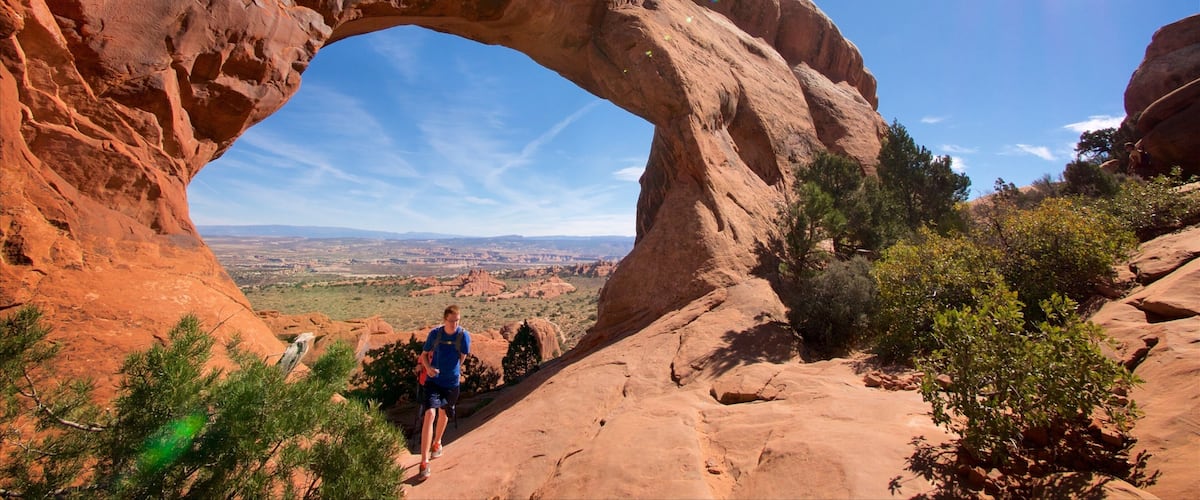 Partition Arch che include vista del deserto