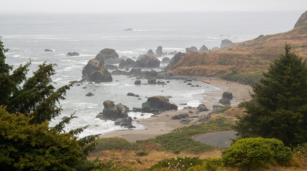 Lone Ranch Beach featuring general coastal views, mist or fog and rugged coastline