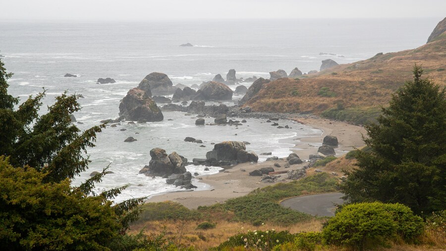Lone Ranch Beach featuring general coastal views, mist or fog and rugged coastline
