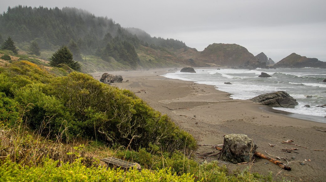 Lone Ranch Beach showing general coastal views, a sandy beach and mist or fog