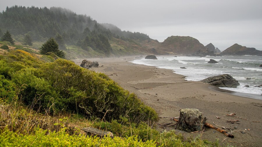 Lone Ranch Beach showing general coastal views, a sandy beach and mist or fog