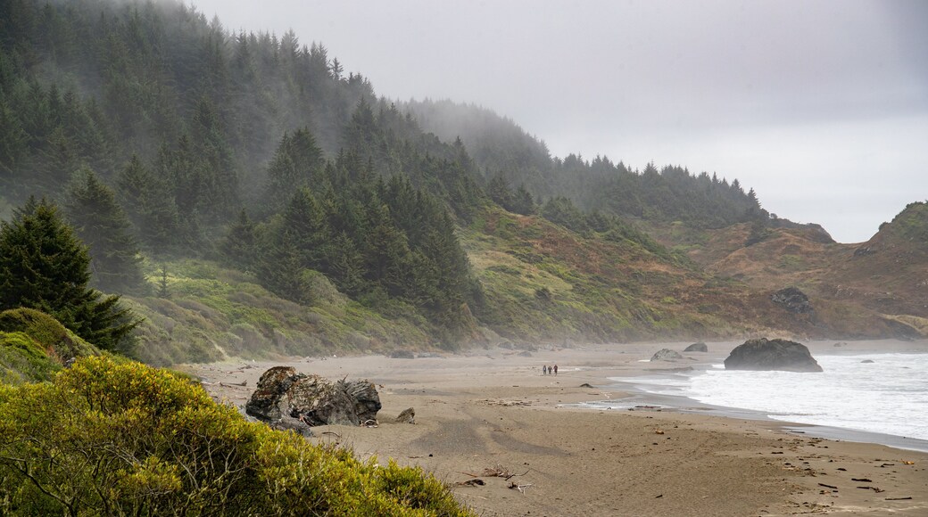 Lone Ranch Beach featuring rocky coastline, mist or fog and a beach