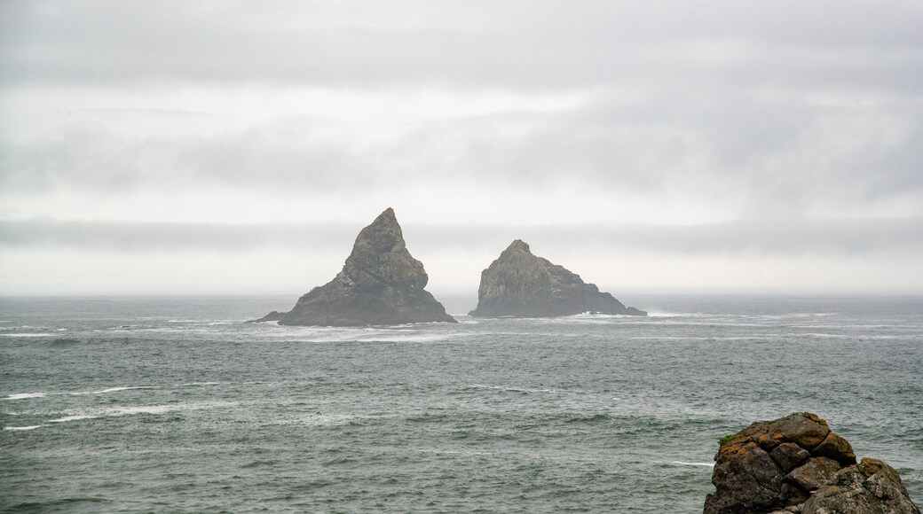 Brookings which includes general coastal views and mist or fog