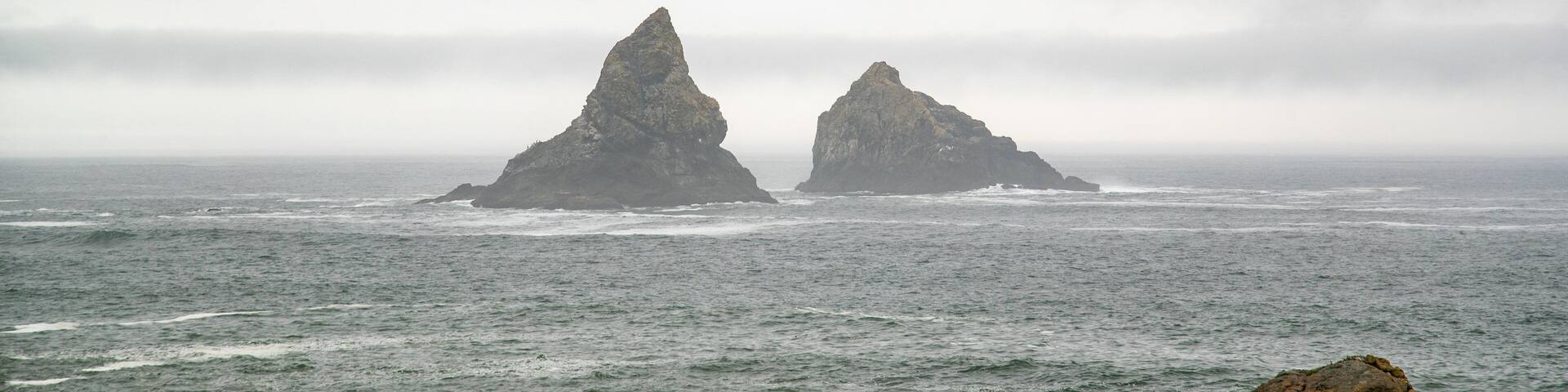 Brookings which includes general coastal views and mist or fog