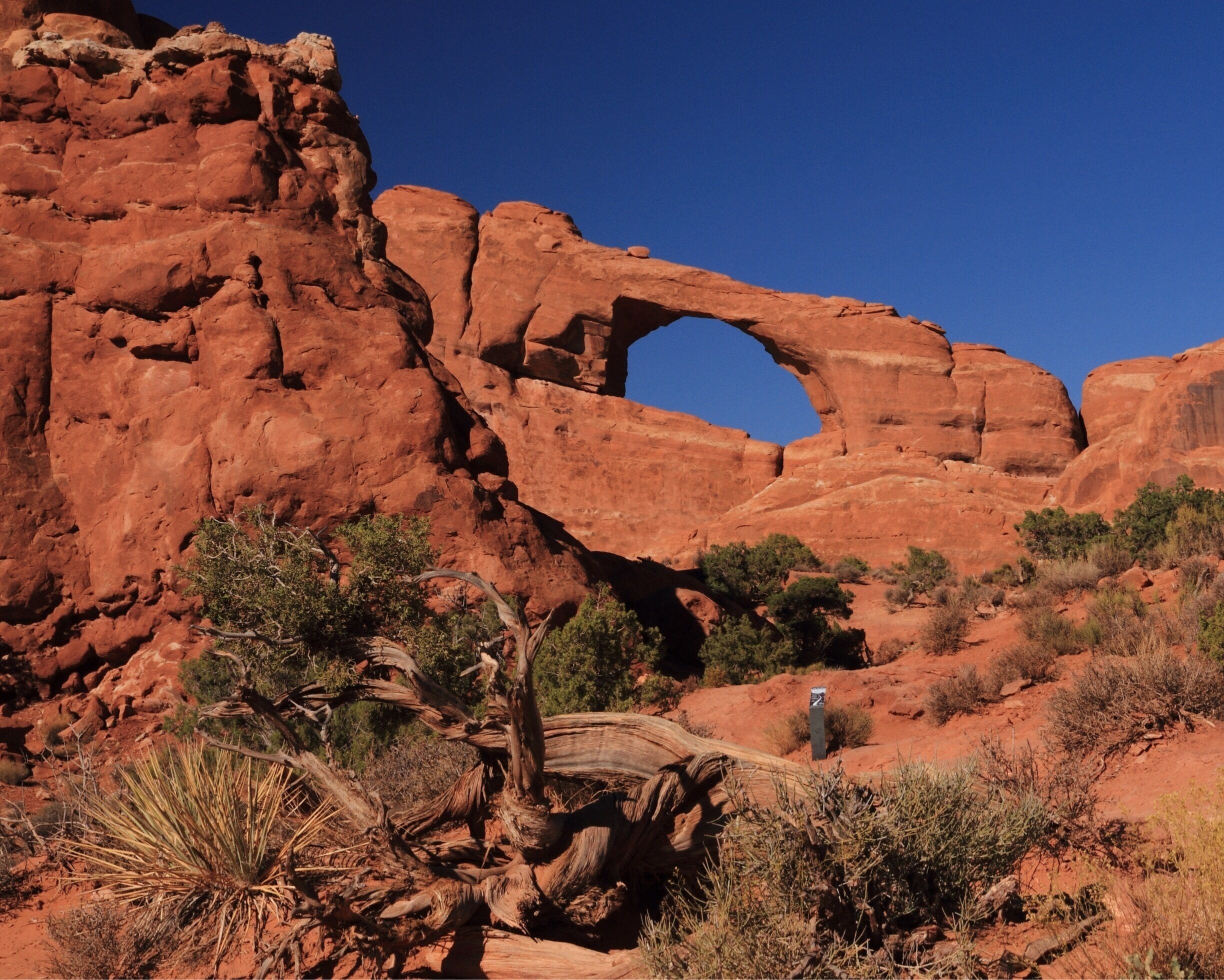 Skyline Arch in Arches National Park. Not the most photographed Arch in the park but quite beautiful nonetheless. It is an easily accessible site with parking at the base. 
#GreatOutdoors Photo Contest,  #national park service