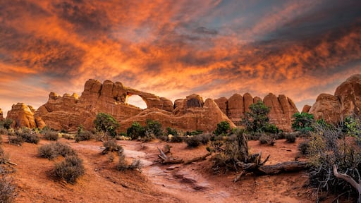 Sunrise on Skyline arch