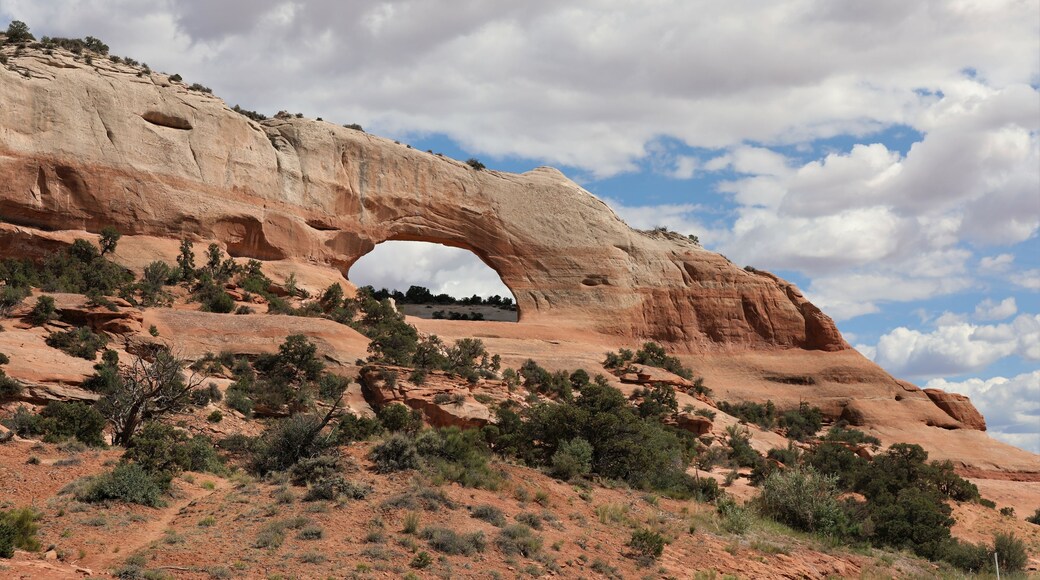 Wilson's Arch
