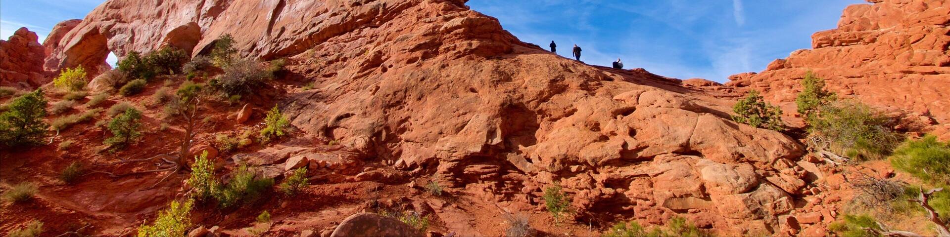 The Windows featuring desert views