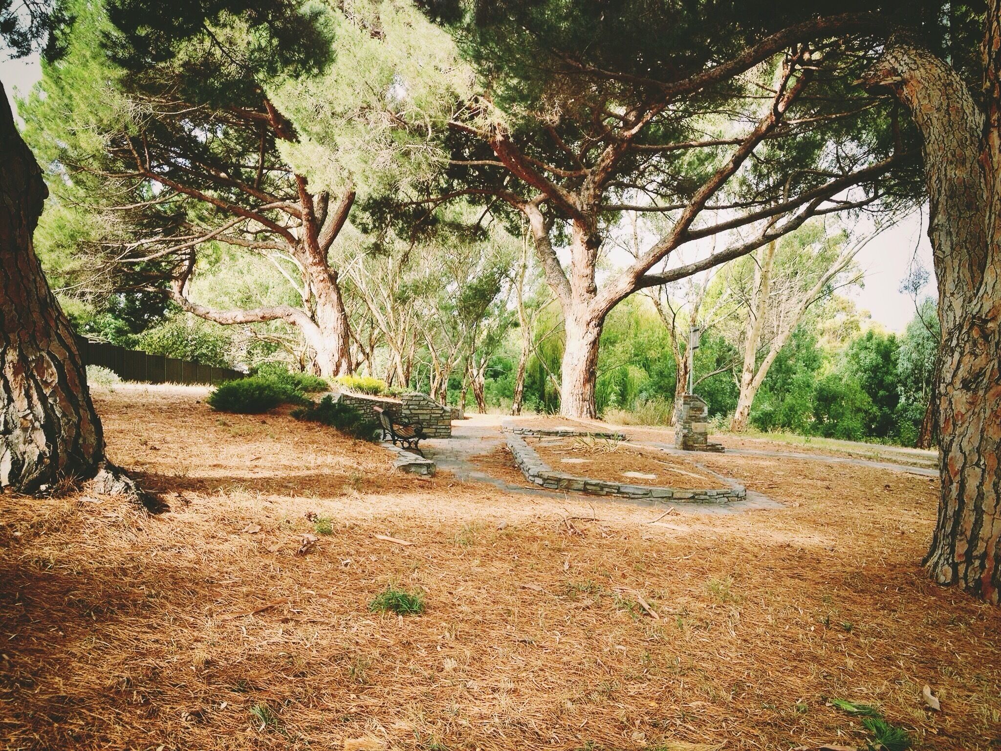 Path along the Coast to Vines Rail Trail in the historic town of Old Reynella in South Australia 