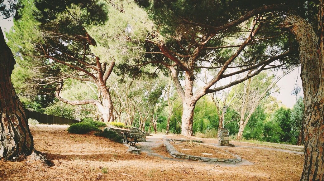 Path along the Coast to Vines Rail Trail in the historic town of Old Reynella in South Australia