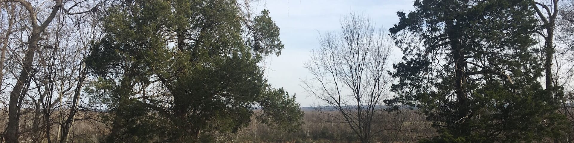 Wreaths on the graves at Shiloh!
