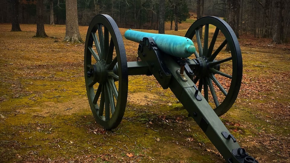 A cannon in a forest.