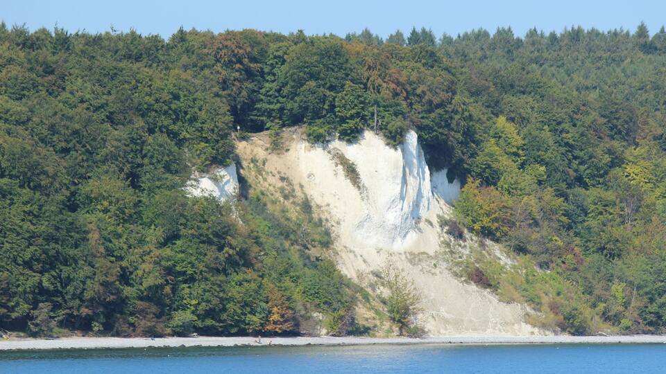 A coastal landscape with a white cliff, dense forest, and a calm sea.
