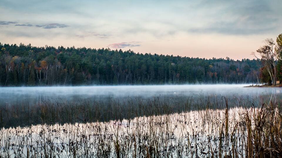 A misty lake surrounded by dense forest.