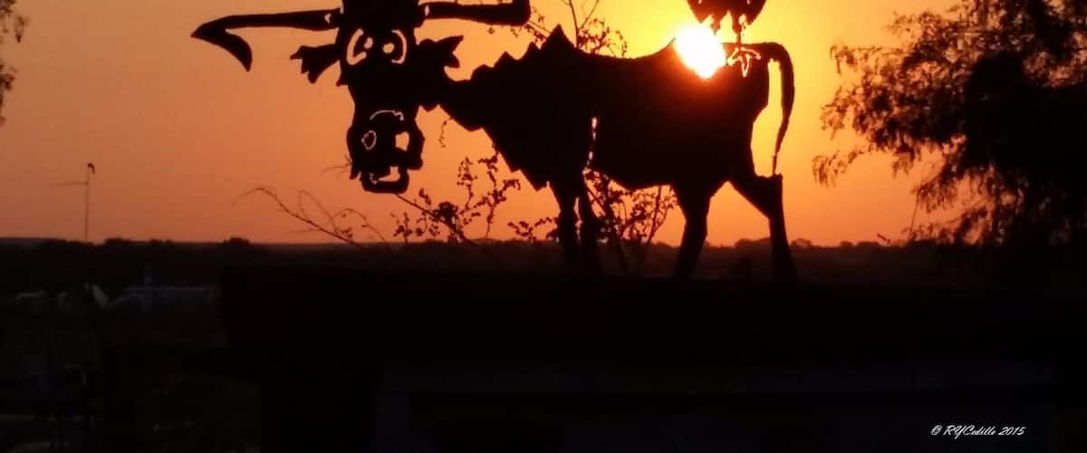 Artwork at its finest, Texas Style.