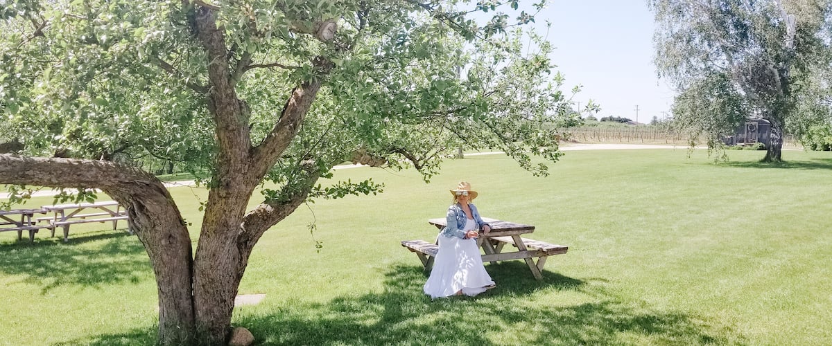 Family-friendly winery with gift shop | Seasonal tours & fine wines with cheese & charcuterie plates offered in a scenic setting | wedding venue #winecountry #discoveron #visitgrey