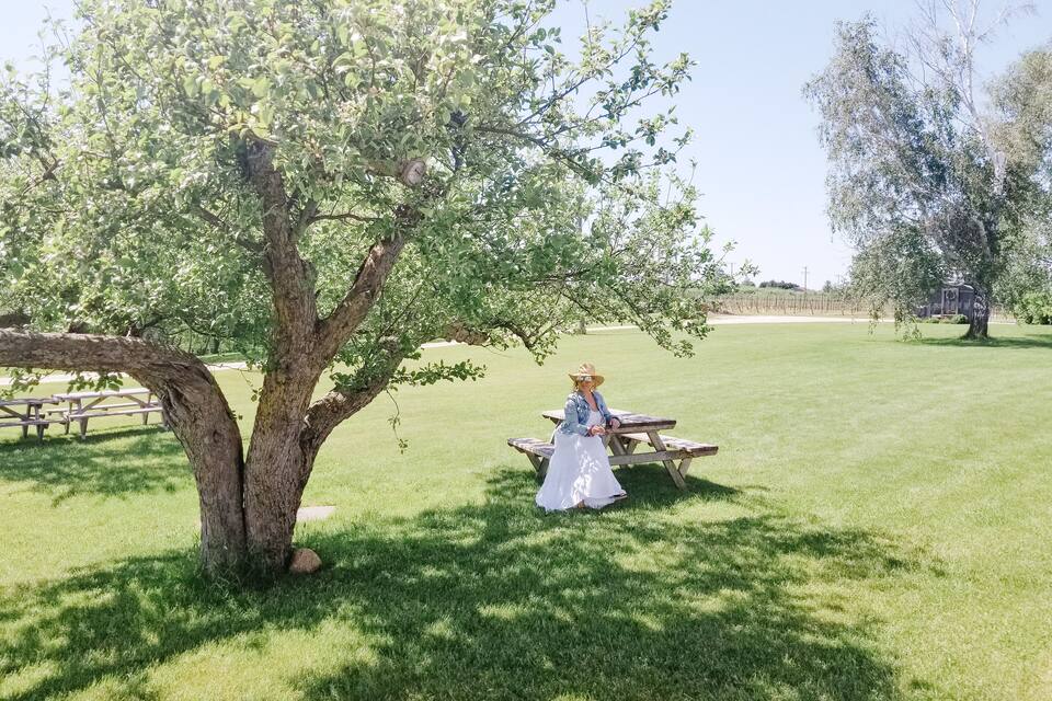 Una donna con un abito e un cappello bianchi è seduta su un tavolo da picnic sotto un albero in un parco erboso.