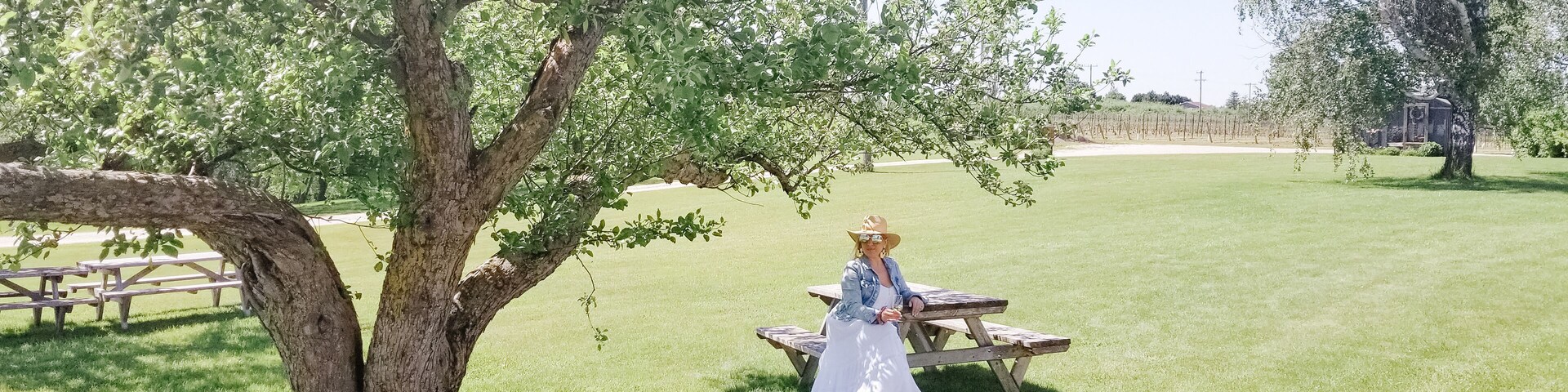 Family-friendly winery with gift shop | Seasonal tours & fine wines with cheese & charcuterie plates offered in a scenic setting | wedding venue #winecountry #discoveron #visitgrey