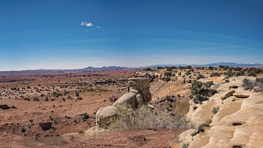 The Castle Valley appears stark and desolate, but the views can be spectacular! This is 5 shots stitched together to capture the whole panorama, with a "dust devil" to the left, a small oasis center right, and fellow hikers on the cliffs to the right.
#nature
#Utah
#Castle_valley