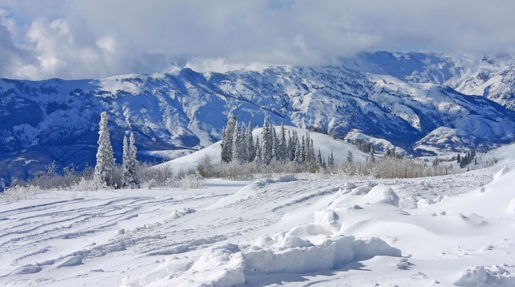 Powder Mountain, Utah; Shutterstock ID 351803771; Purchase Order: -