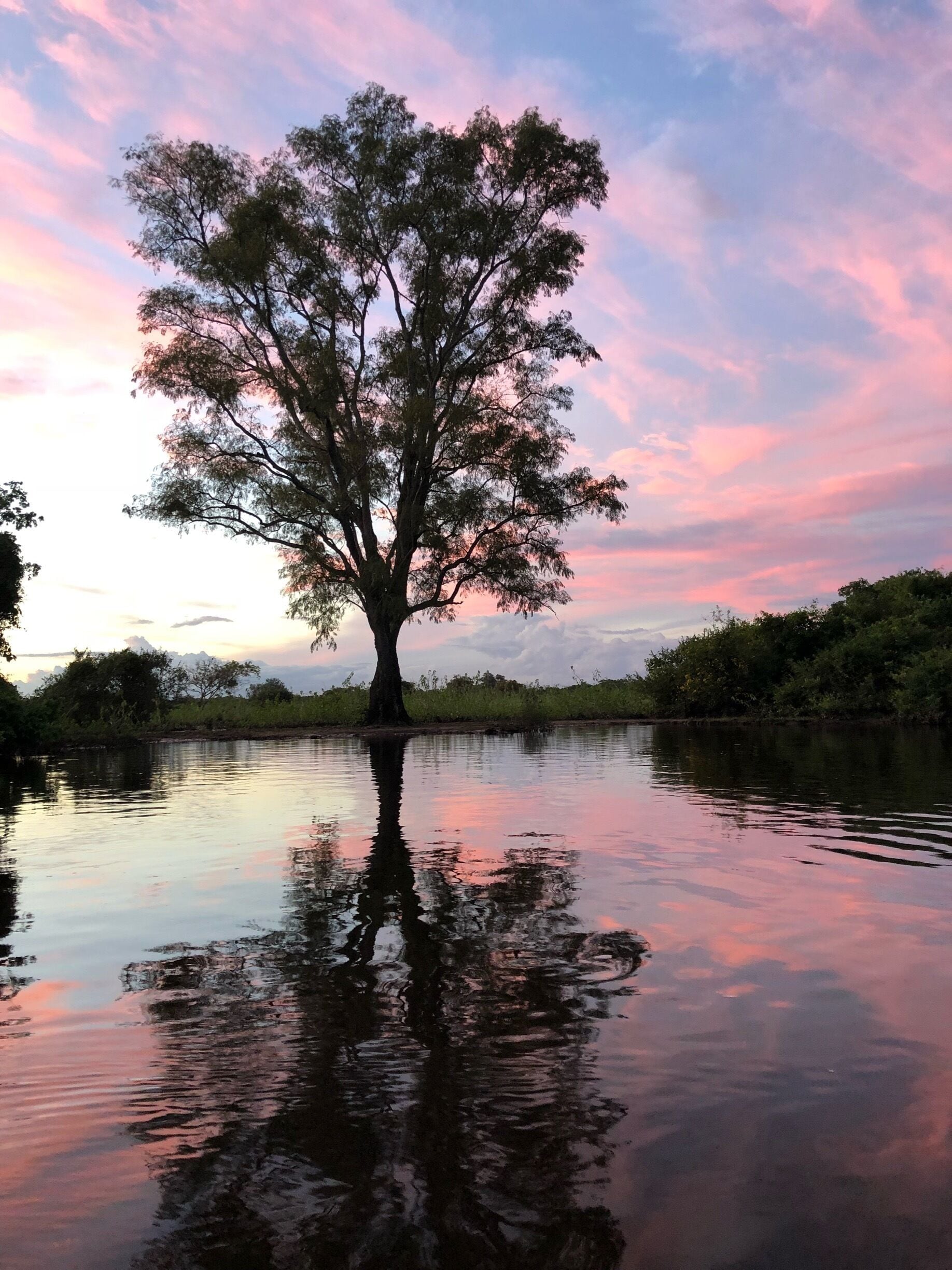 Nice sunset in Yacuma River, Bolivia 