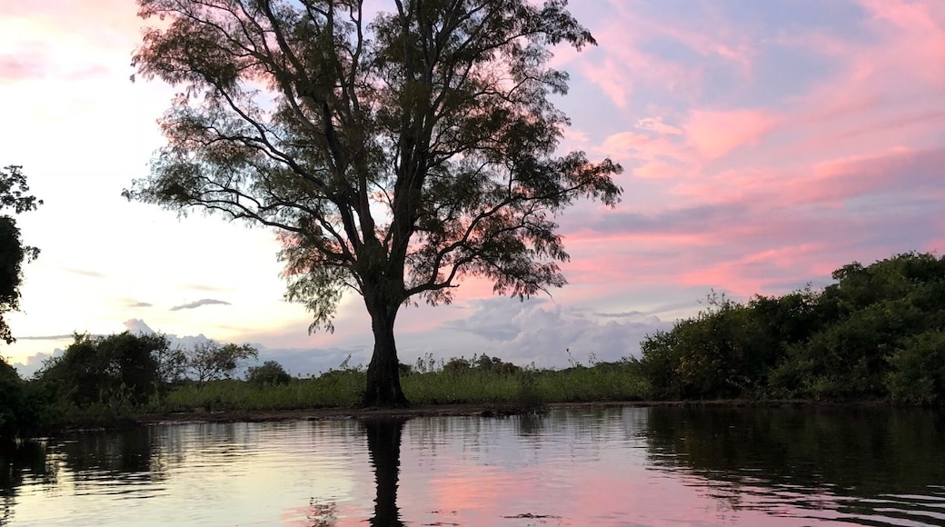 Nice sunset in Yacuma River, Bolivia