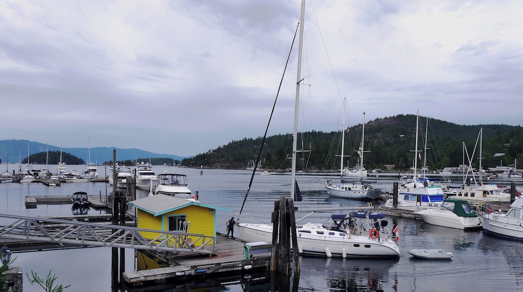 Garden Bay is a small village tucked away between the waters of Garden Bay and Hospital Bay on the Sunshine Coast of British Columbia.
It has a beautiful landscape, complimented by gorgeous ocean view.