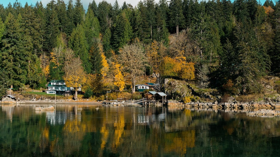 A lake with reflections of houses and trees, surrounded by dense forest.