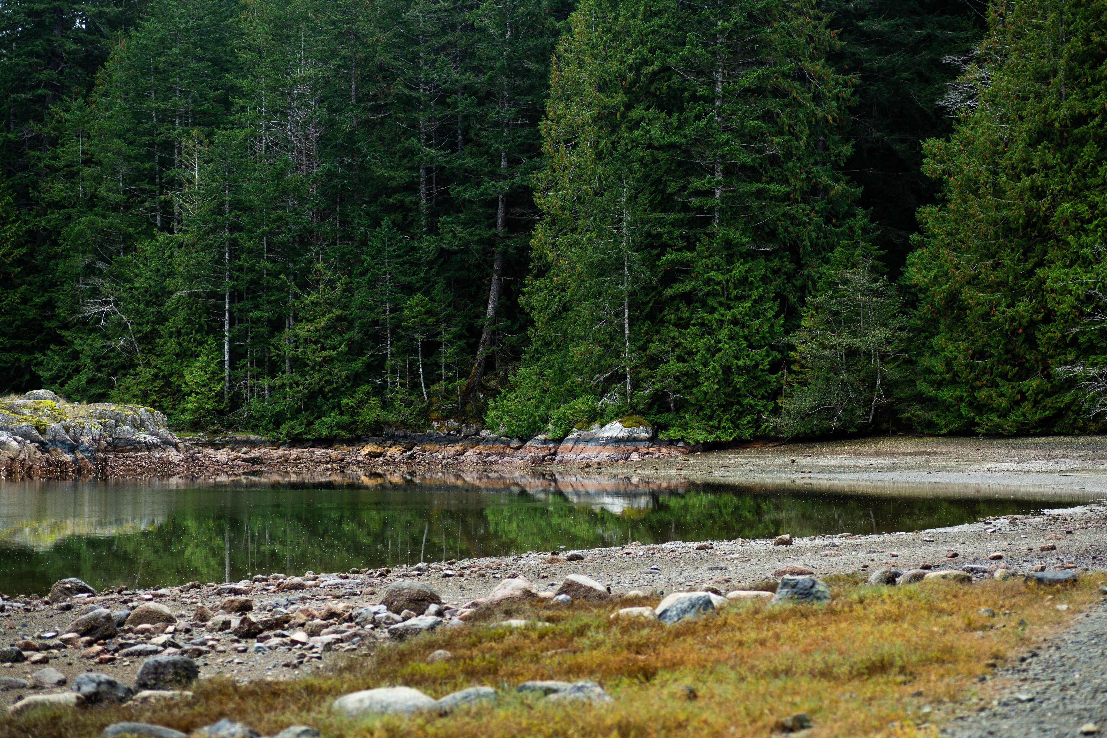 Coastline at Mansons Landing Provincial Park