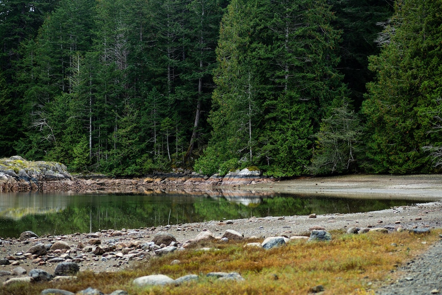 Coastline at Mansons Landing Provincial Park