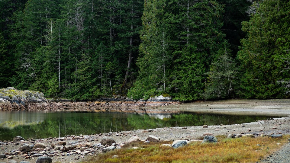 A calm lake surrounded by dense forest and rocky terrain.