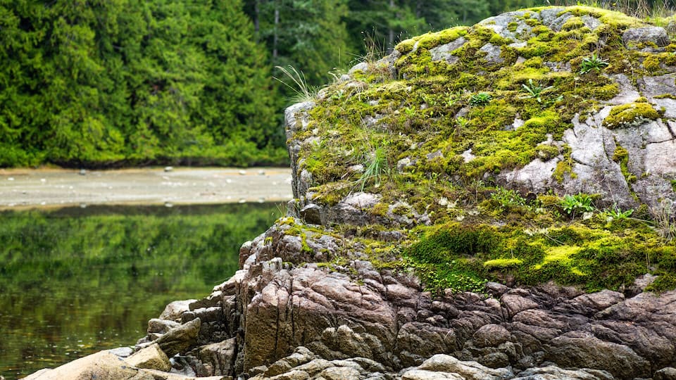 A rocky outcrop with moss and greenery, surrounded by a forest and a calm body of water.
