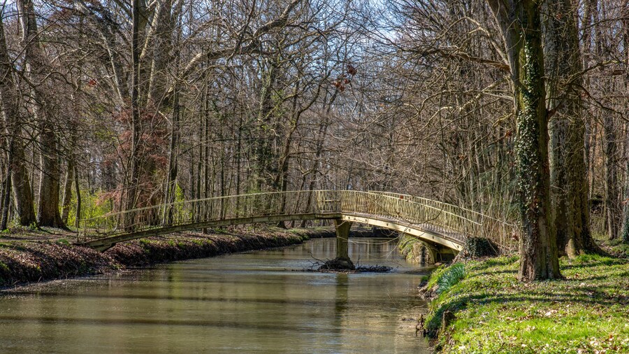 pont de Veyle rivière