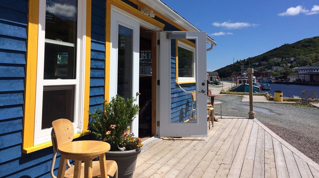 Right around the bend from Cape Spear and downtown St. John's, is the beautiful community of Petty Harbour-Maddox Cove. My favourite café, The Water Shed, is there too, nestled right on the harbour. The sandwiches are gorgeous, the cookies are fit to devour, and the coffee is exquisite. Just look at the view! Look at it!